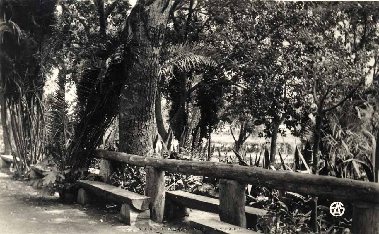Ain Temouchent 505- Jardins COLLECTION DES AMIS DE ND DE SANTA CRUZ.jpg